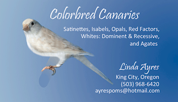 WebFamilyPDM, Portfolio